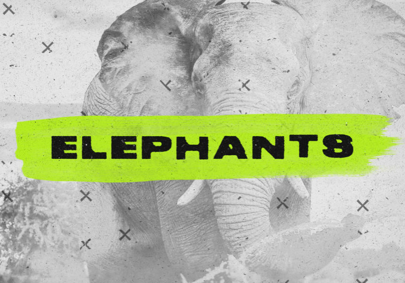 Elephants HD Title Slide