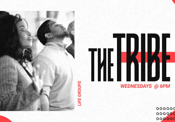 The_Tribe_HD_Title_Slide