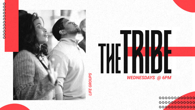 The_Tribe_HD_Title_Slide