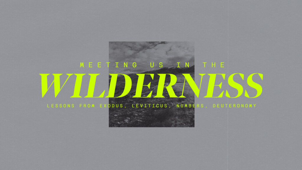Meeting Us In the Wilderness HD Title Slide